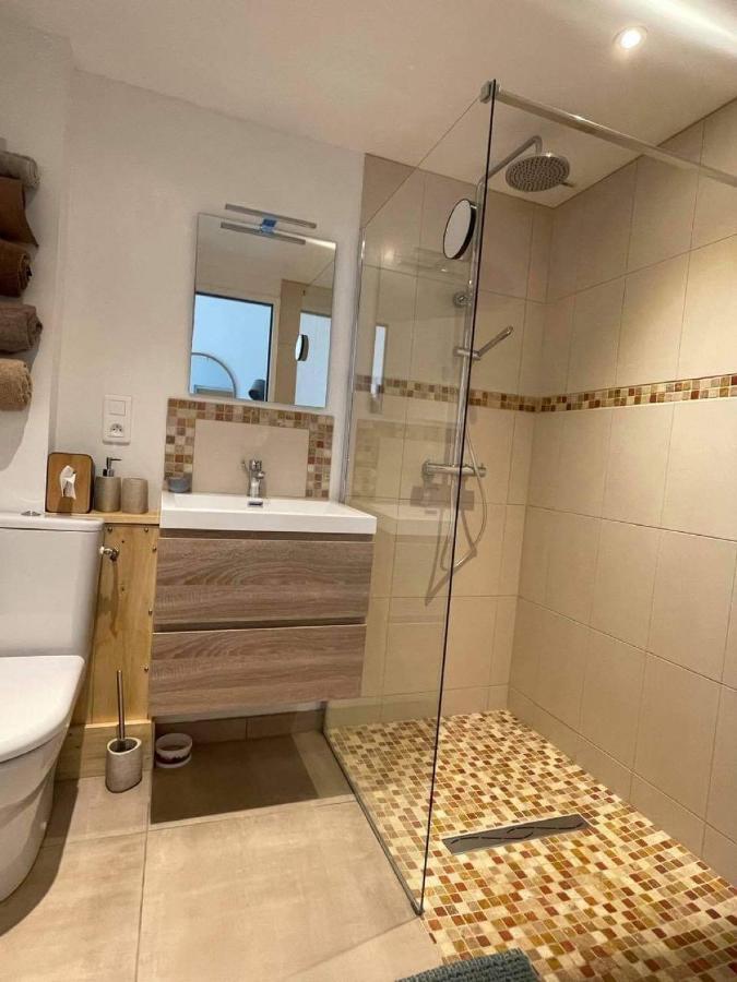 Lagraulet-du-Gers Chez Brunet Chambres D'Hotes Et Gite المظهر الخارجي الصورة
